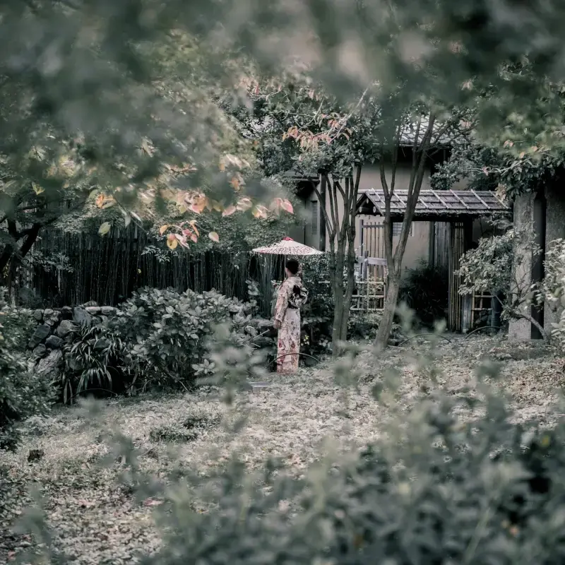 Cuenta la leyenda que hace más de 2000 años, la emperatriz Leizu, esposa del Emperador Amarillo, tomaba té bajo un árbol de morera. De repente, un capullo de gusano cayó desde las ramas a su taza de té...
